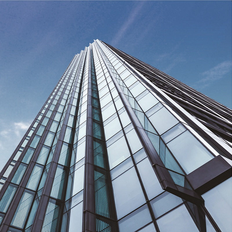 Kundengebundene industrielle Profil-Aluminiumvorhang-Fassade
