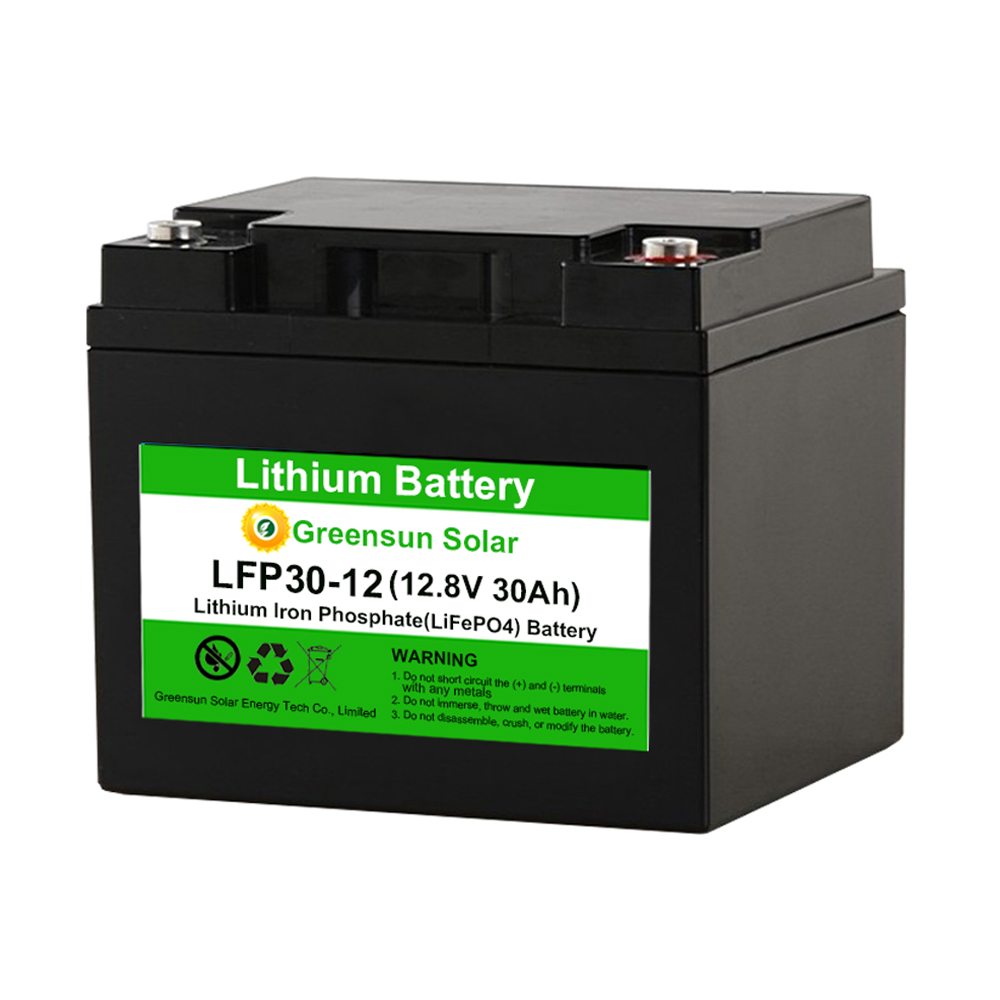 Lifepo4 Batterie 12V 30Ah Lithium-Eisen-Batterie
