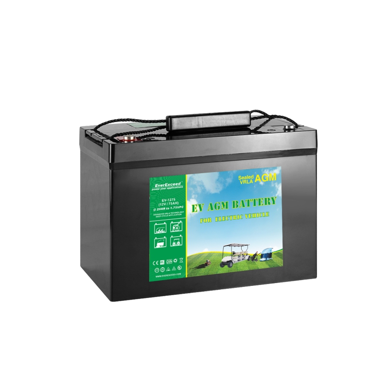 EV-AGM-Batterie
