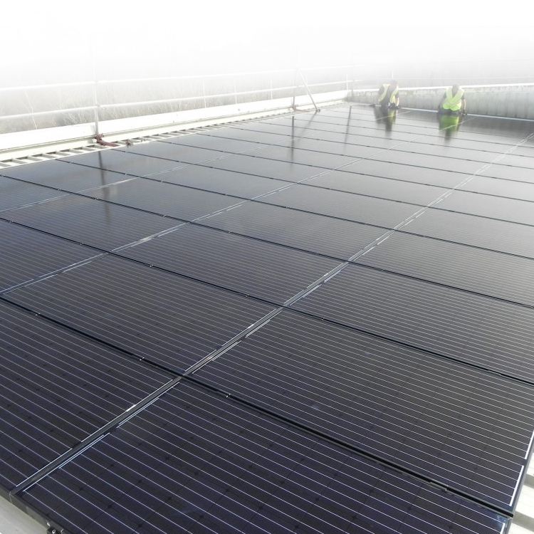 Full Black Solarpanel-Systemprojekte
