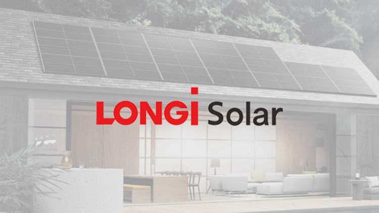 Longi-Solarpanel