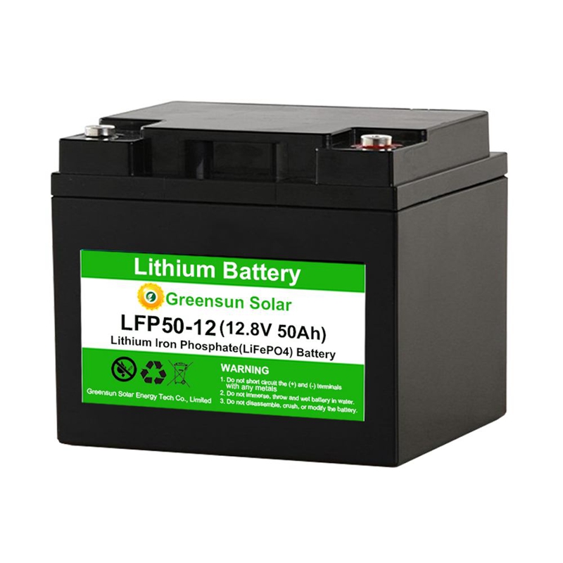 Lifepo4 Batterie 12V 24V 48V Lithium-Eisen-Batterie
