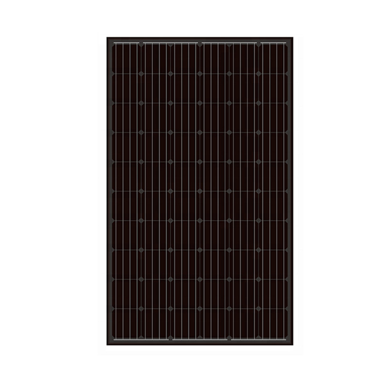 60 Zellen schwarzer Rahmen Solar-PV-Module 300 Watt 300 Wp für Solaranlage
