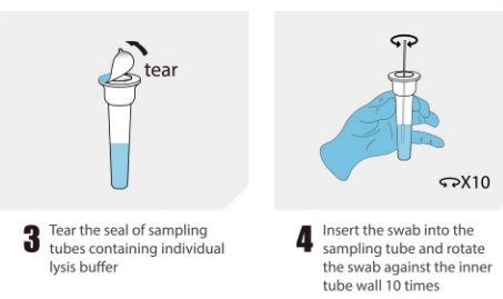 5 Tests/Nasenabstrich-Antigentest (Kolloidales Gold)