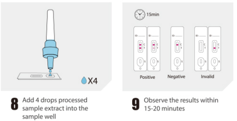 5 Tests/Nasenabstrich-Antigentest (Kolloidales Gold)