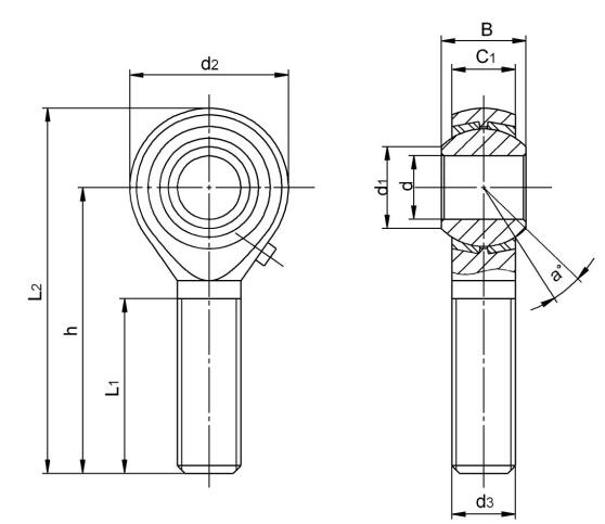 Zoll FISCHAUGE LAGER POSB10L