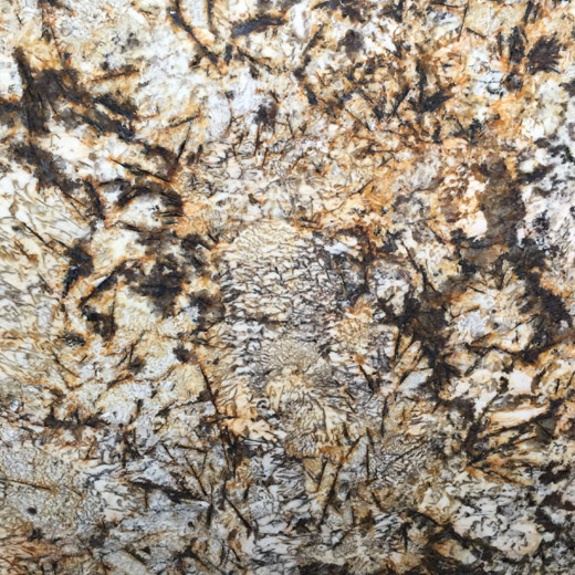 Goldschmetterlings-Granit-Arbeitsplatten-Platte Luxuriöser Naturstein für Tischplatte
