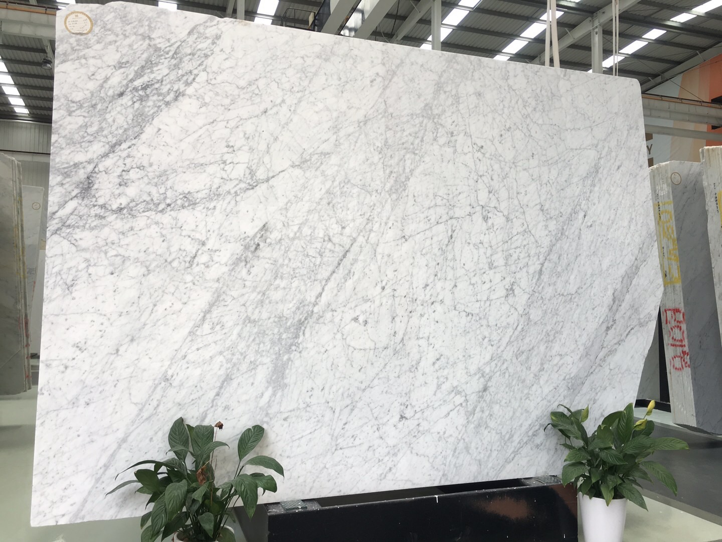Natursteinplatten aus weißem Carrara-Marmor
